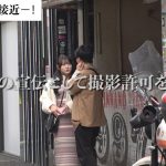 mgsod009 | マルチーズ | ひめ