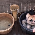 【無料サンプル】omad020 | おまん堂 | あず